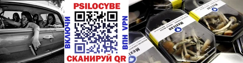 Псилоцибиновые грибы мухоморы  Гаджиево 